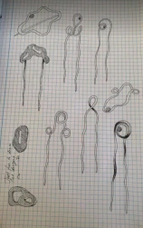 Metamorphosis — proces, billede 14